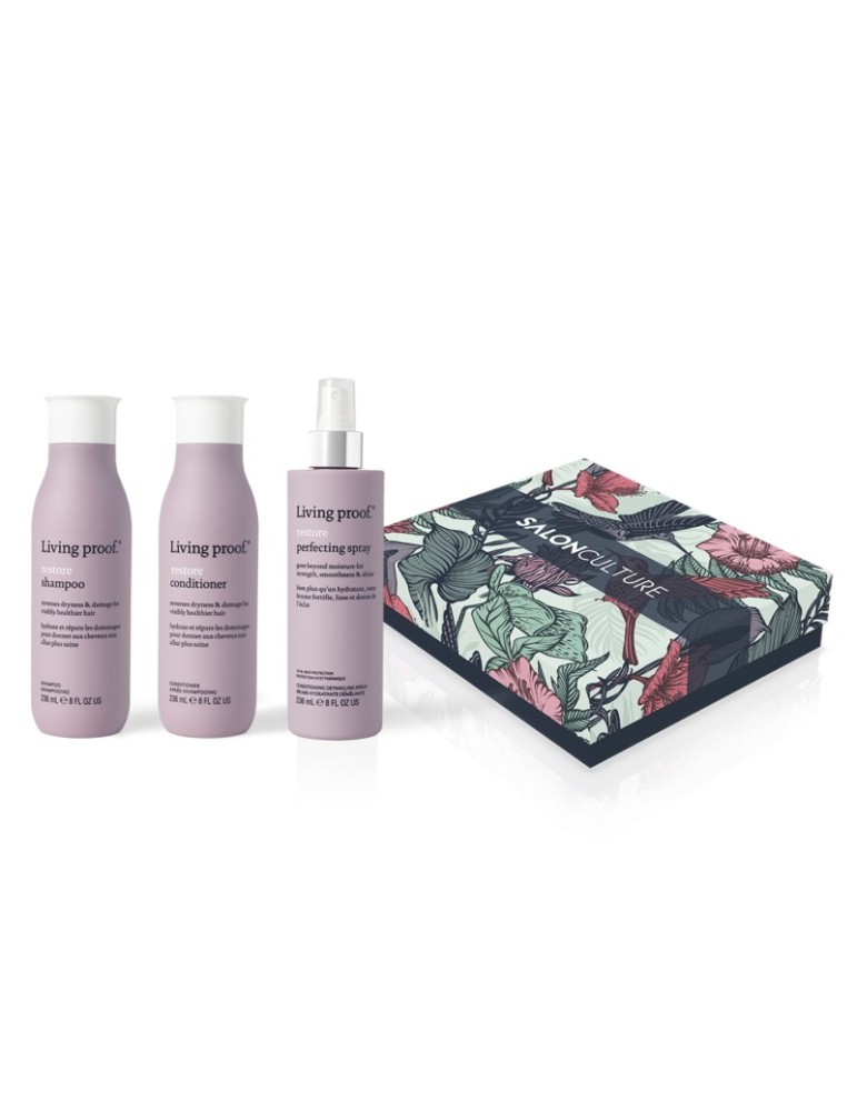 cofre regalo navidad 2024 living proof reparacion